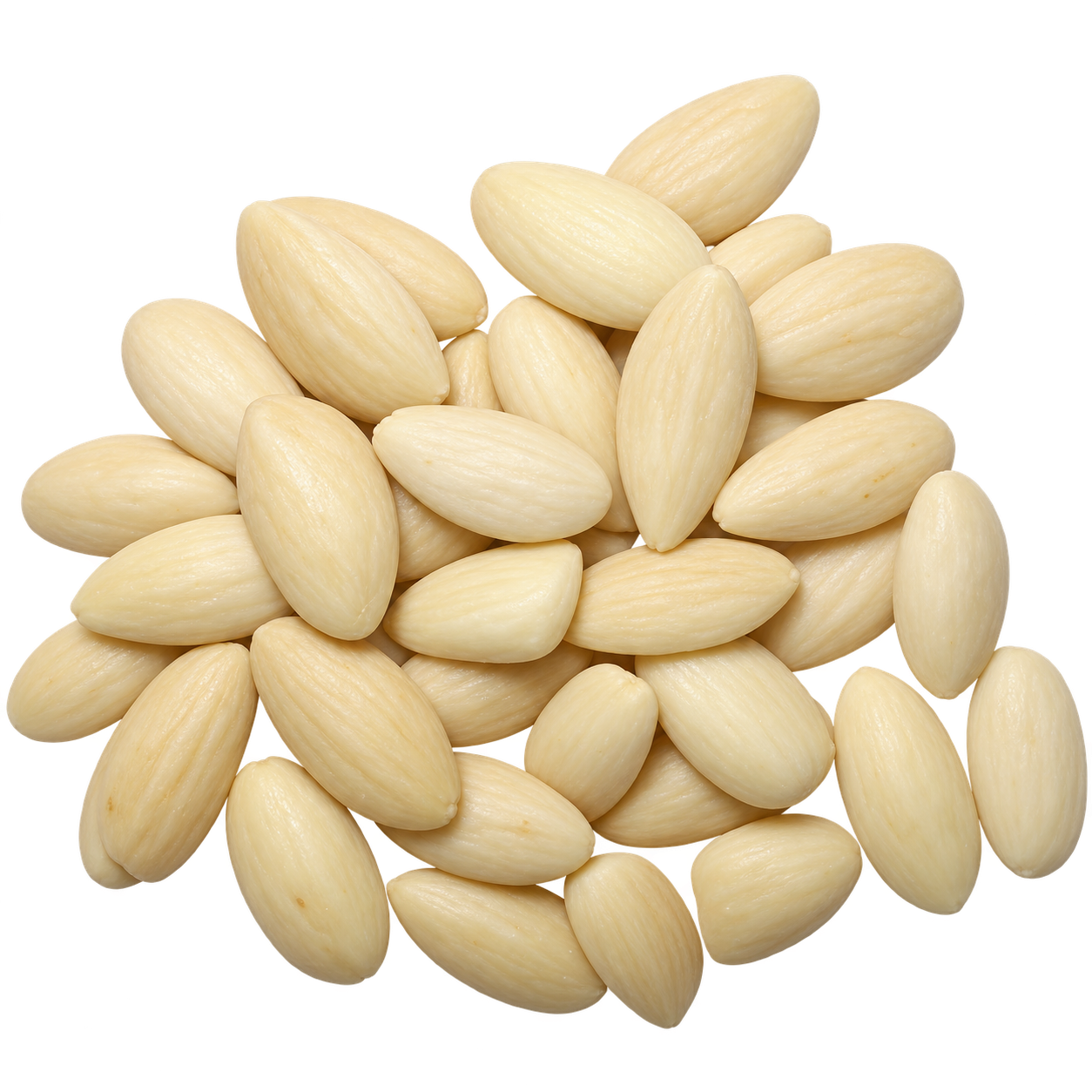 Blanched Almond