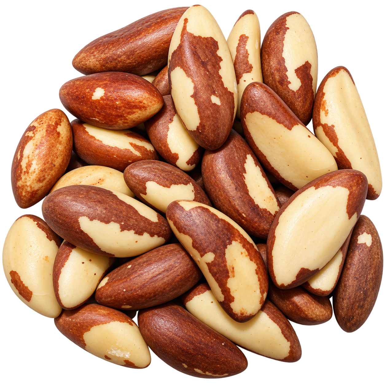 Brazilian Wallnuts