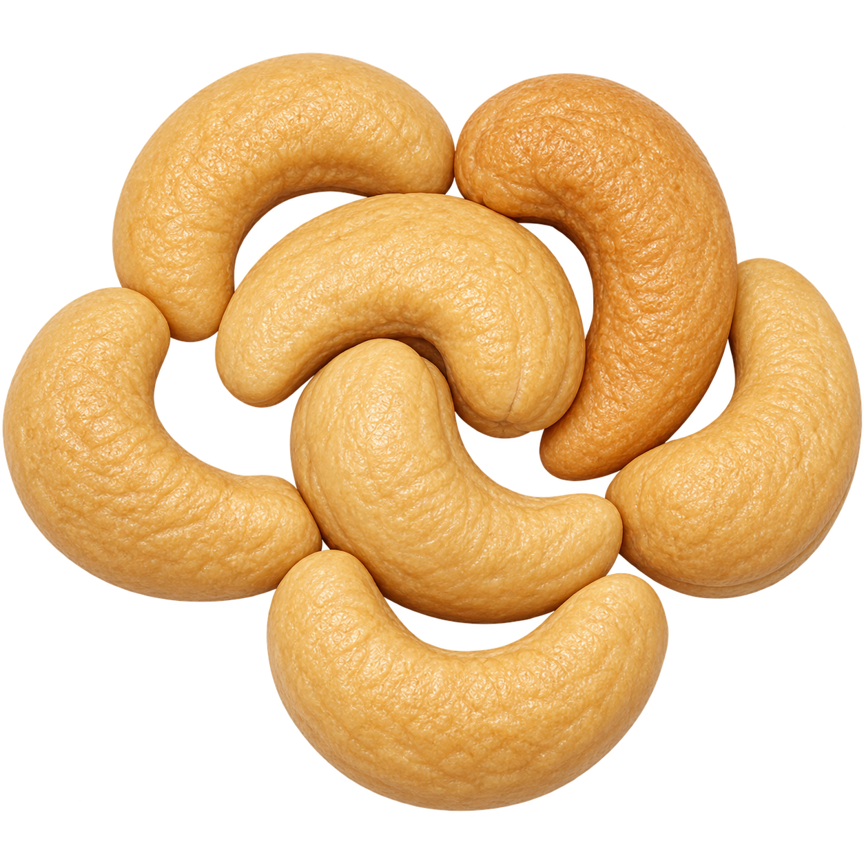 Cashew