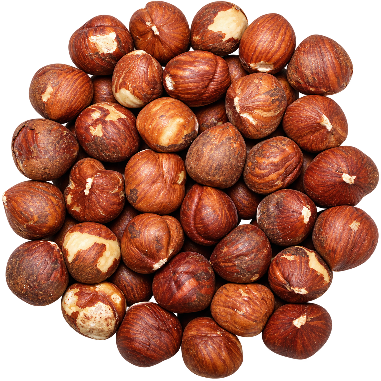 Hazelnuts