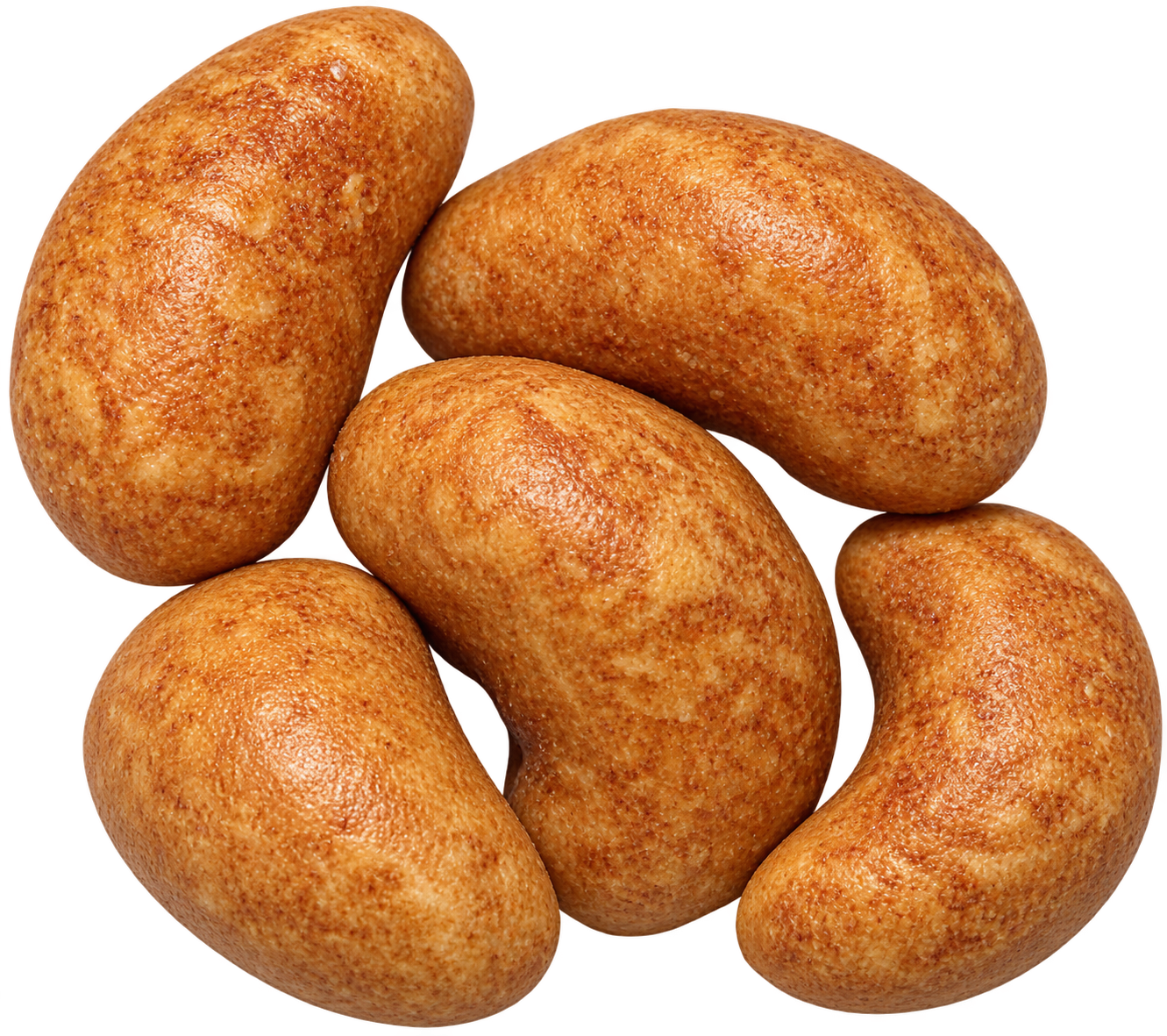 Krikri Cashew