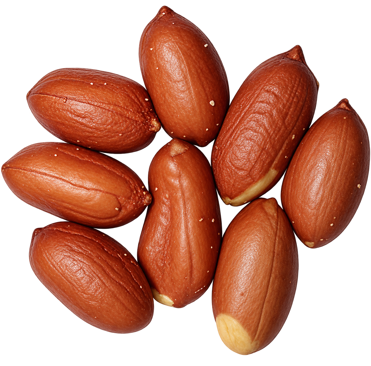 Oil-Roasted Peanuts