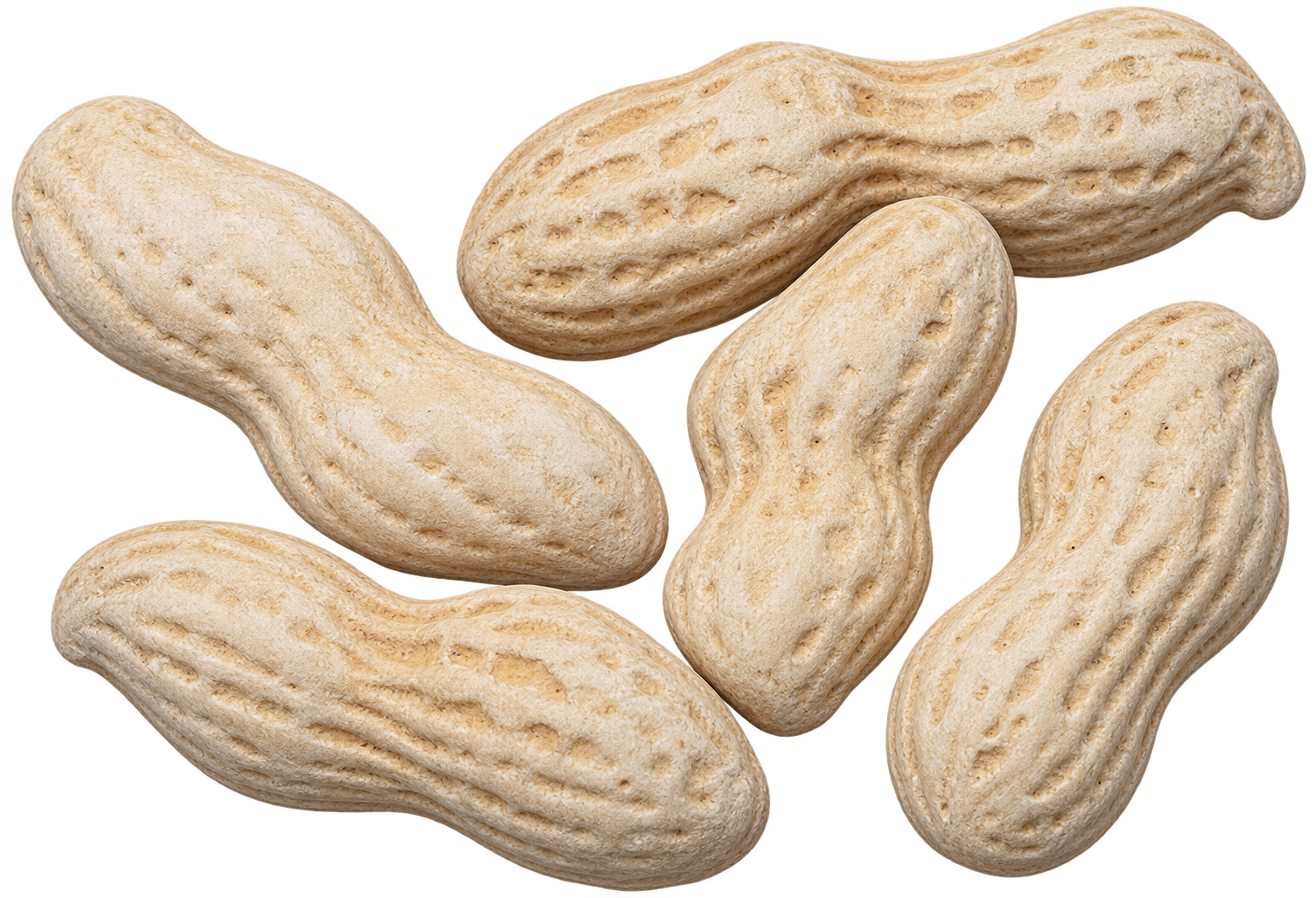 Salted In-Shell Peanuts
