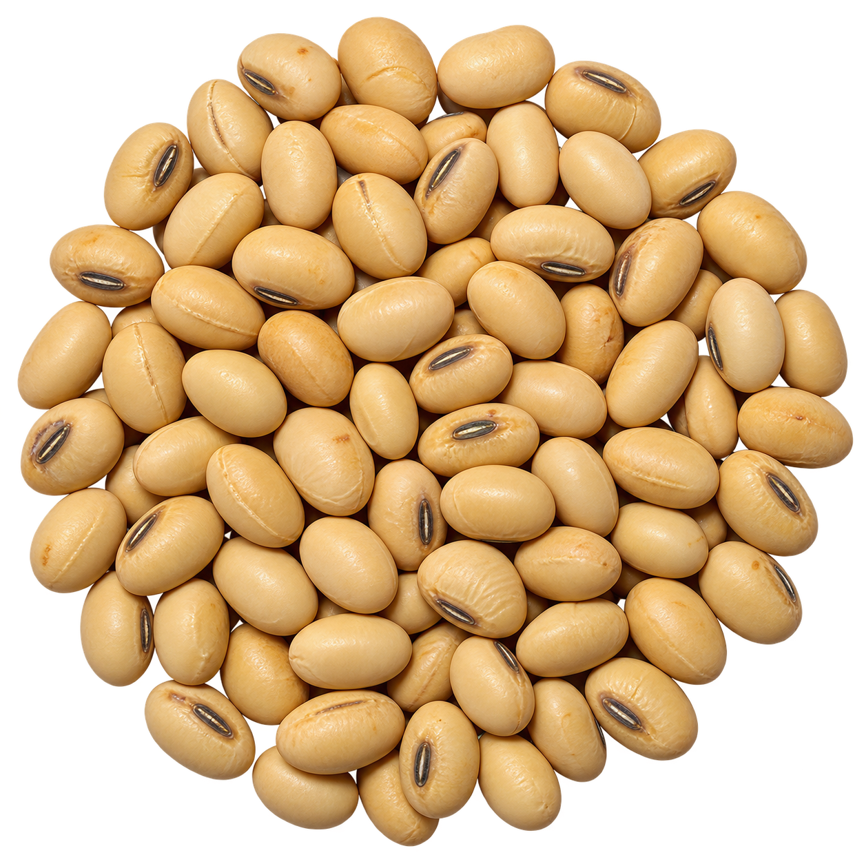 Soya