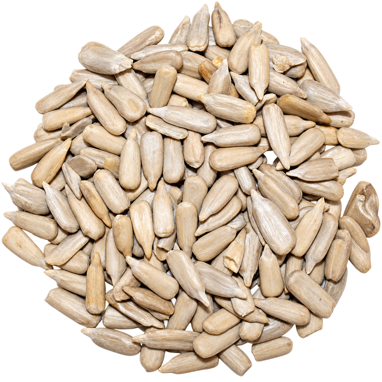 Sunflower Seeds