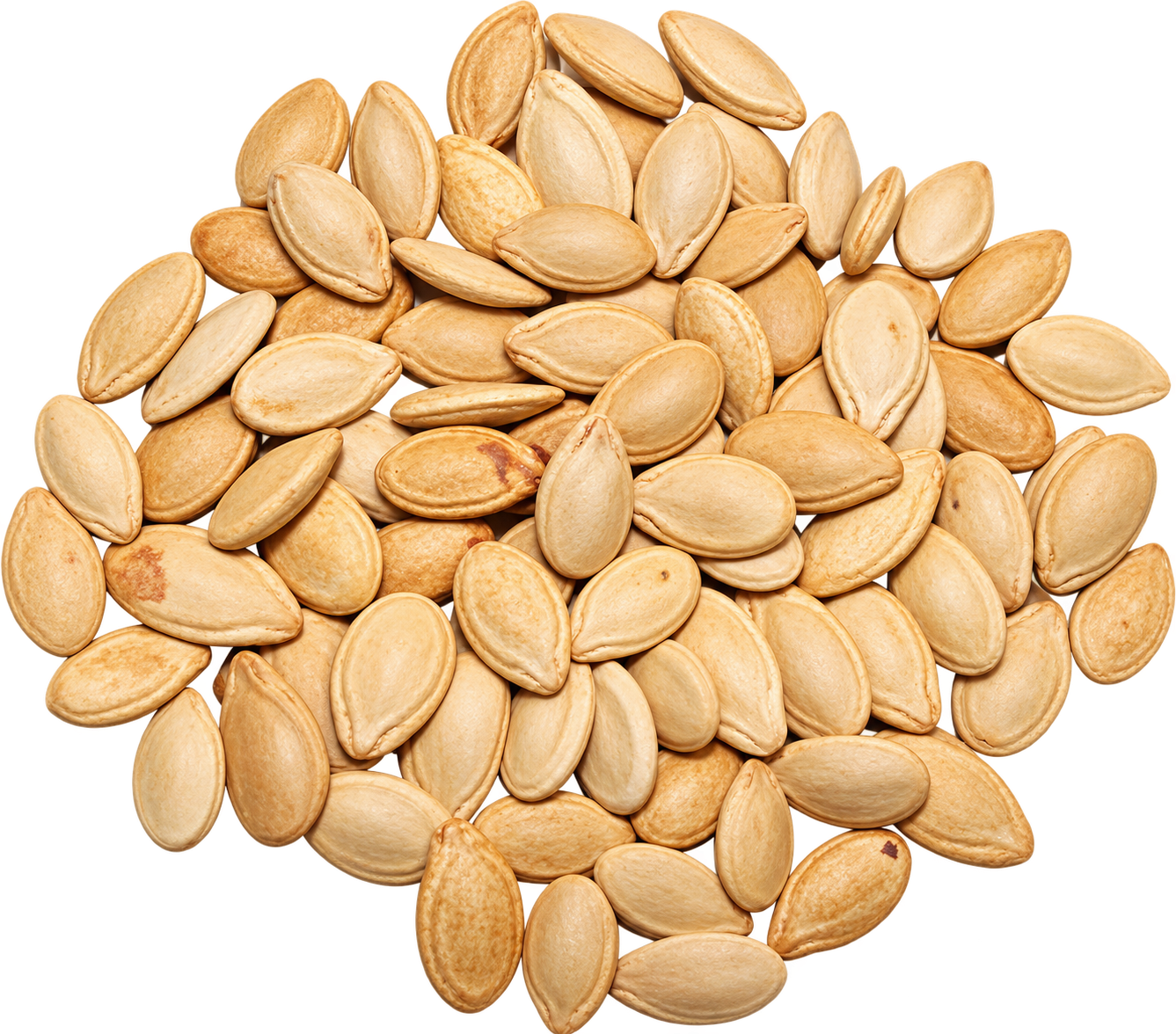Unsalted Egyptian Seeds Extra
