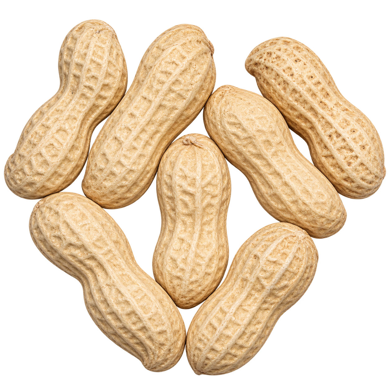 Unsalted In-Shell Peanuts