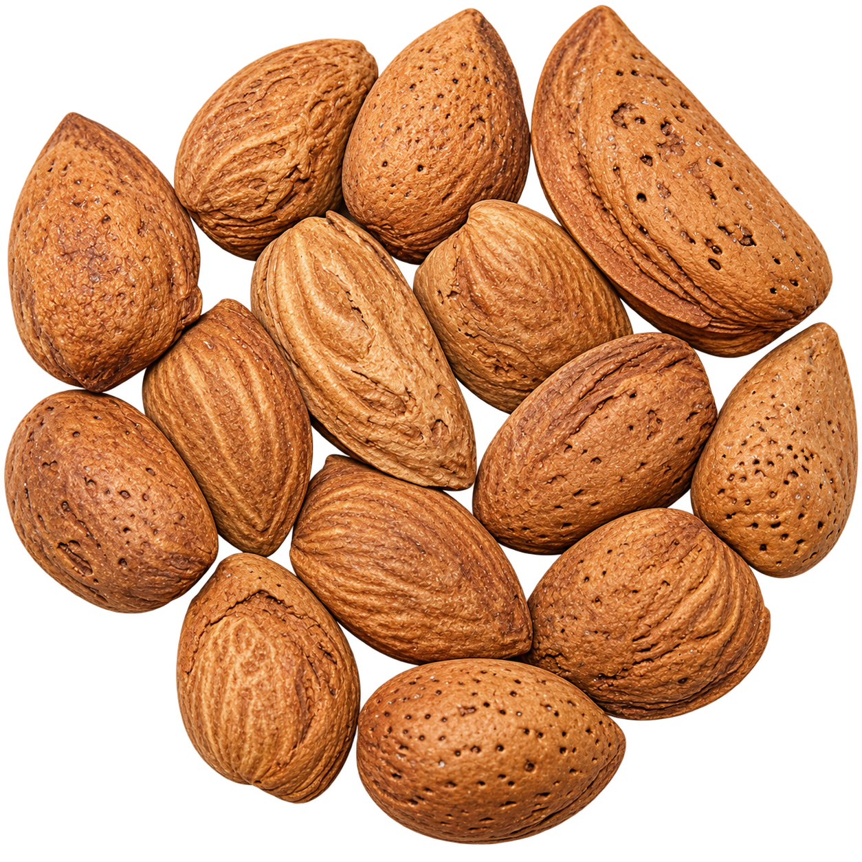 Unslated Almonds With Shell